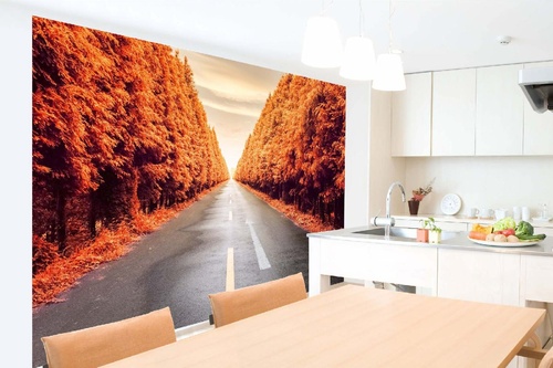 Vlies Fototapete - Herbstliche Straße 375 x 250 cm